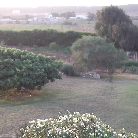 Dar Al Manar Otel El Jadida Dış mekan fotoğraf