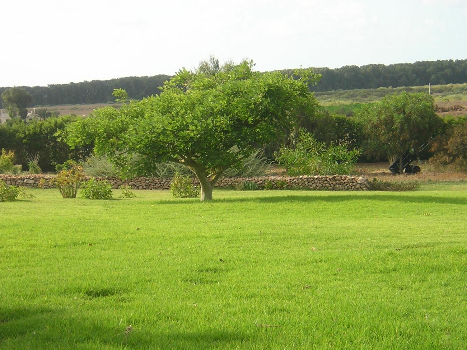 Dar Al Manar Otel El Jadida Dış mekan fotoğraf