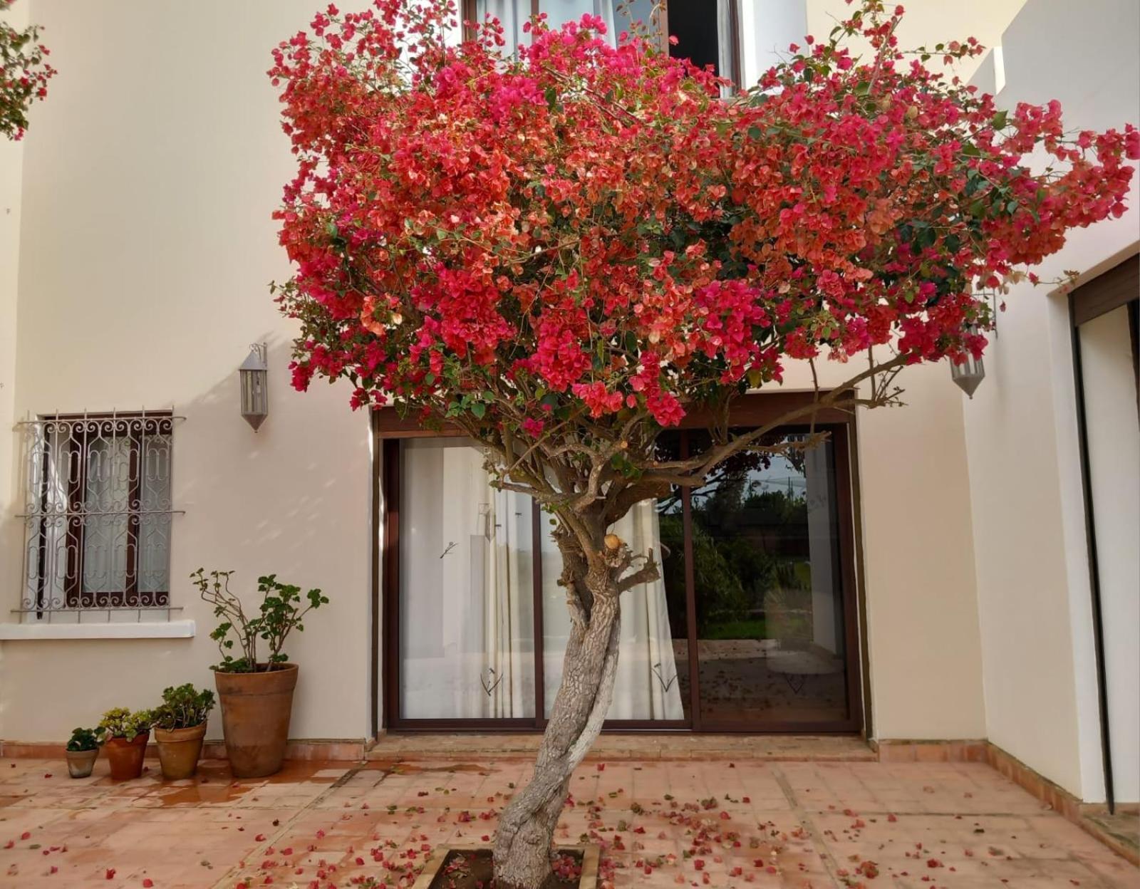 Dar Al Manar Otel El Jadida Dış mekan fotoğraf