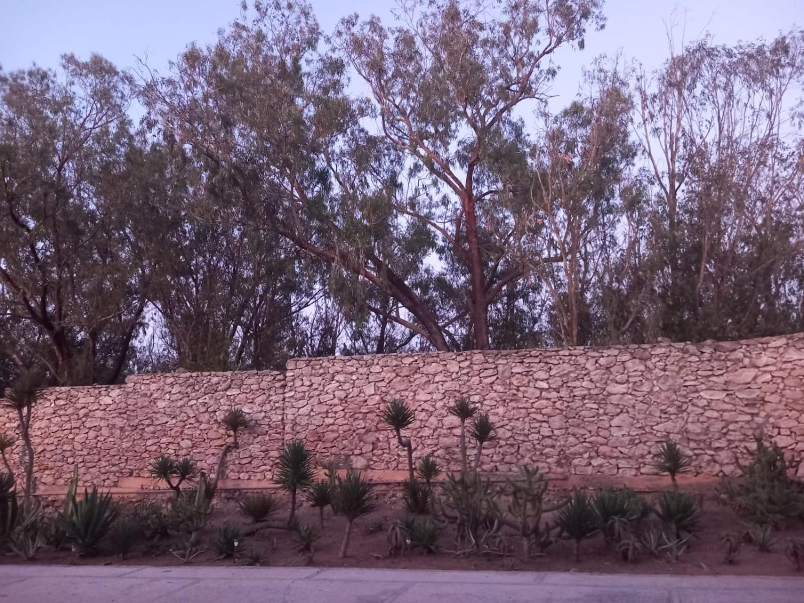 Dar Al Manar Otel El Jadida Dış mekan fotoğraf